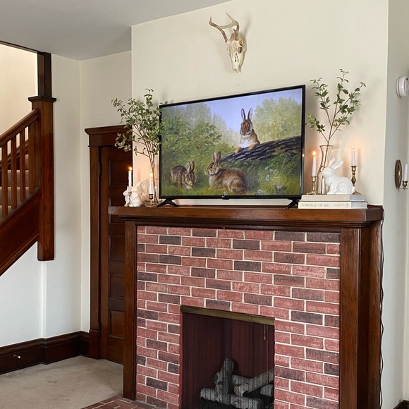 Meet your Posher, Sierra - Picture 4 of 14